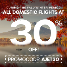 30% Off Autumn – Winter Deal on Domestic Flights!